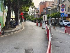 -长洲岛