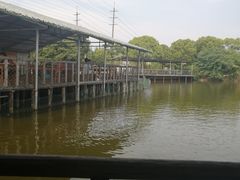 -东方绿舟景区
