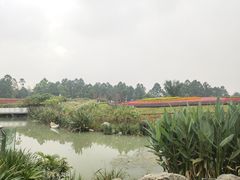 -天府芙蓉园