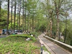 -莫干山风景区
