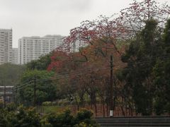-屯门公园