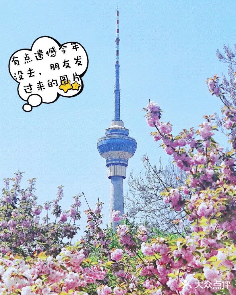 让我爱不释手的「小粽盒」