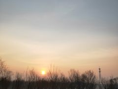 -大兴滨河森林公园