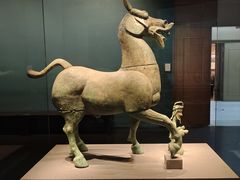 -广西壮族自治区博物馆