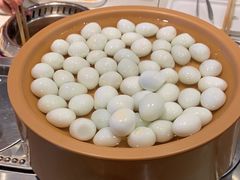 -龍歌自助小火锅(市南金茂湾店)