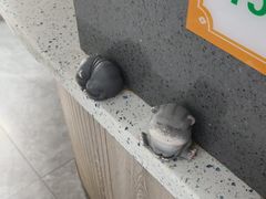 -半岛宠物医院24小时(白果林店)