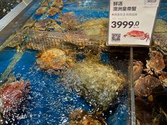 -盒马X会员店(王府井奥莱UP TOWN店)