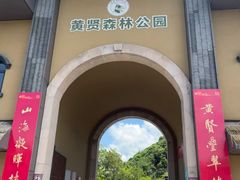 -黄贤森林公园