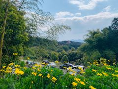 -金水泊山庄·花椒鸡(铁山坪店)