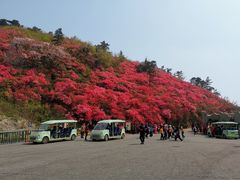 -木兰云雾山