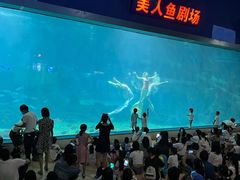 -福州罗源湾海洋世界旅游区