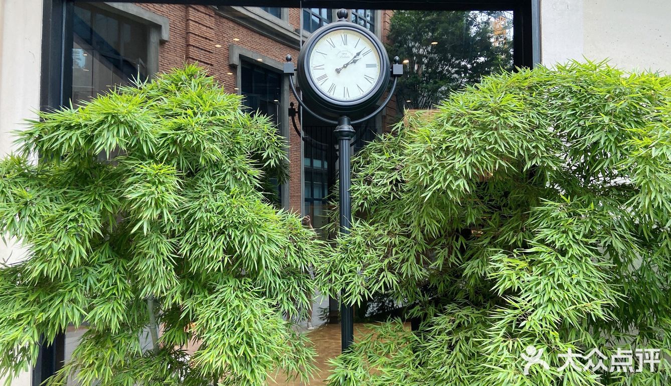 来园区内书店看书遇见《爱情应该有的样子》剧组🎬