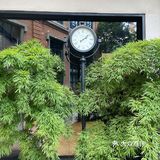 来园区内书店看书遇见《爱情应该有的样子》剧组🎬