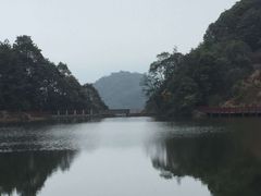 -广州市石门国家森林公园