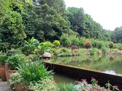 -深圳仙湖植物园