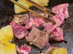 -杨小佳·齐齐哈尔烤肉·烤串(广州店)