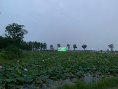 -滆湖低碳生态公园
