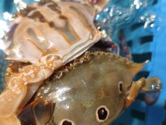 -御品海宴海鲜自助餐厅(龙岗万科广场店)