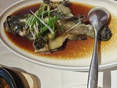 清蒸老虎斑-万龙洲海鲜(南新仓店)