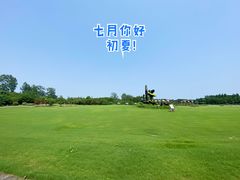 -东平国家森林公园
