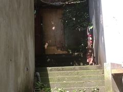 -新都巷步道