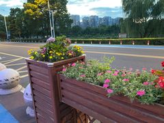 -苏州太湖湖滨国家湿地公园