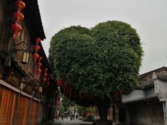 -广达眼镜炖罐(广达店)