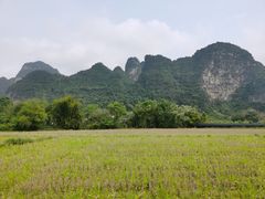 -明仕田园