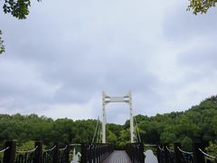 -长广溪湿地公园