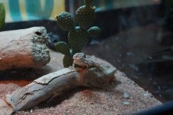 -酷嗒动物文化乐园(cutezoo西溪乐天城店)