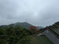 -鼎湖山风景区