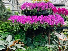 -兰陵国家农业公园