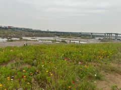-绿堤公园