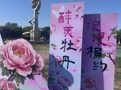 -太阳宫公园