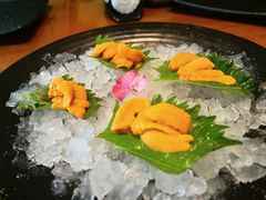 -月龍吟(朝龙汇店)