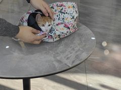 -德元·美联众合24小时动物医院(总院)