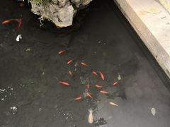 -光裕书厅·评弹茶馆·剧场(观前街店)