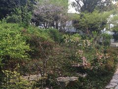 -上海市保健医疗中心(华东疗养院)