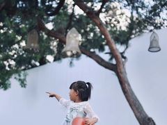 -云禾壹海景庄园餐厅