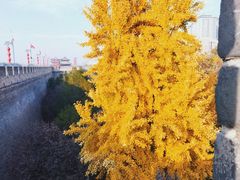 -西安城墙·碑林历史文化景区