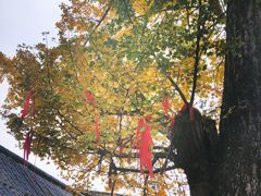 -金堂县云顶石城风景区