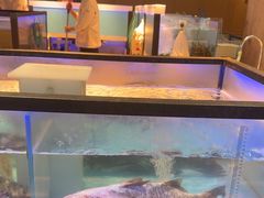 -同庆楼(滨湖万达广场店)