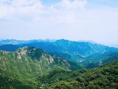 -大岭沟猕猴桃谷风景区