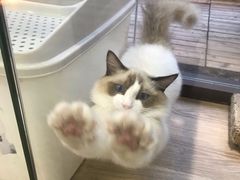 -派联宠物医院·24h·CT·异宠