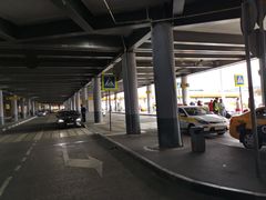-谢列梅捷沃国际机场