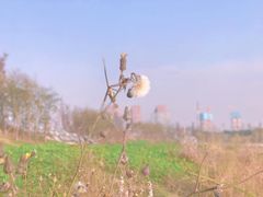 -马栏山视频文创产业园