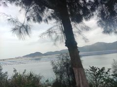-宋井风景区