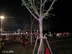 -三亚红色娘子军演艺公园景区