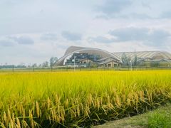 -中国天府农业博览园