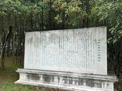 -宜兴龙背山森林公园